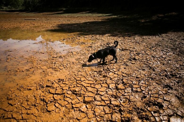 写真は3日、コロンビア・メデジンにあるアルビ公園で撮影。 REUTERS/Juan David Duque