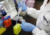 大詰めの米中通商協議、大豆など遺伝子組み換え作物の承認手続きが問題点に