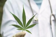 これから出現する変異株にも効果が...「大麻」由来の「予防薬」の研究進む