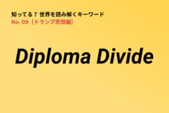「所得格差」では説明がつかなくなった現代の政治的分断…「Diploma Divide」が理解のカギ
