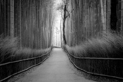 歴史の中の多様な「性」（５）