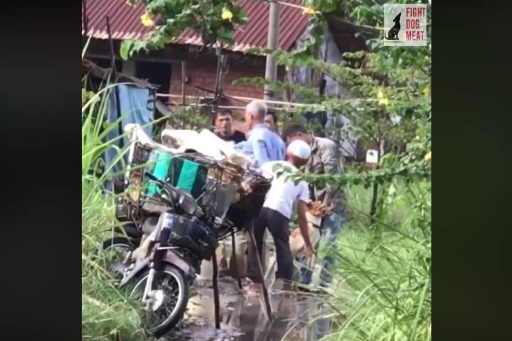 無理やりこじ開けた犬の口に大量の泥水を流し込む　Fight Dog Meat／Facebookより