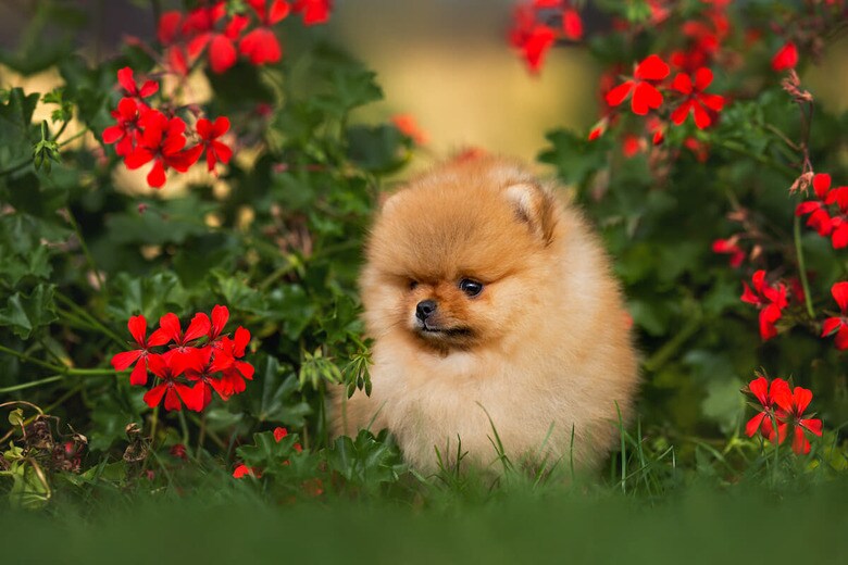 （写真はイメージです）　otsphoto-Shutterstock