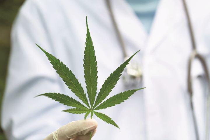 大麻草はワクチンとの併用で変異株に対しても効果が期待できるという　KANJANA JORRUANG/ISTOCK