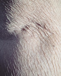 仏教的かキリスト教的か、イスラム教的か、混乱させる写真