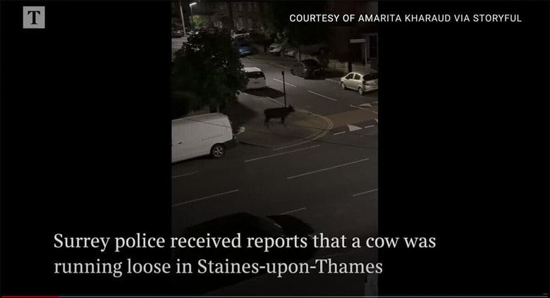 The Times and The Sunday Times-YouTube