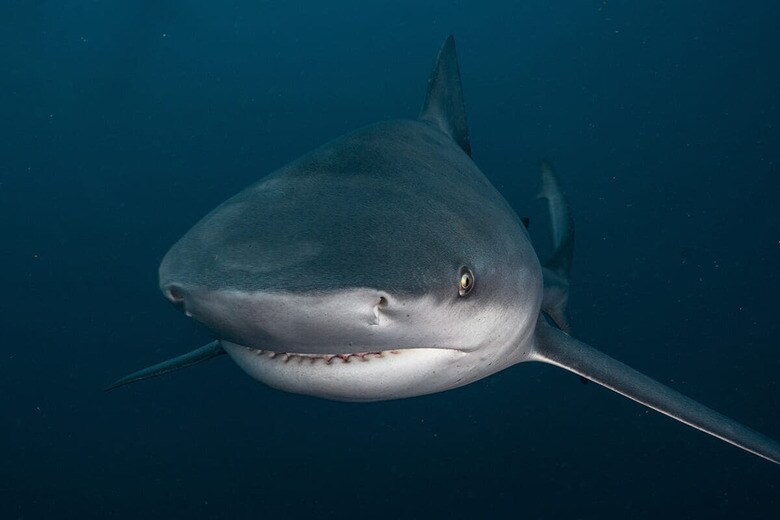 （写真はイメージです）　msriddleabroad-Shutterstock