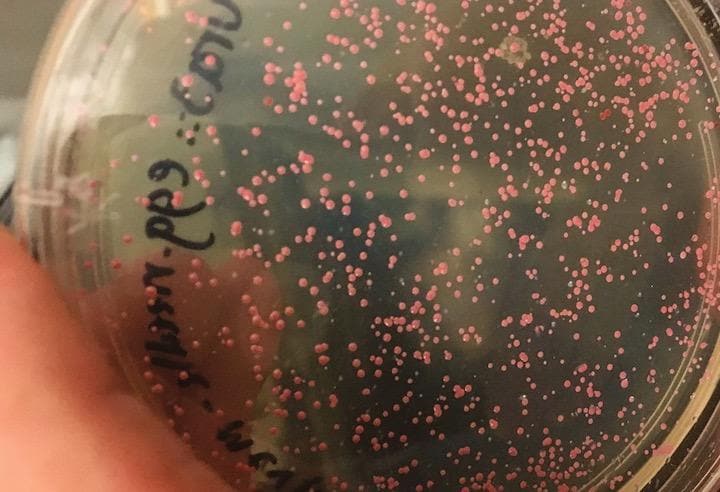 永続的にデータを保存できる...... JOE DAVIS