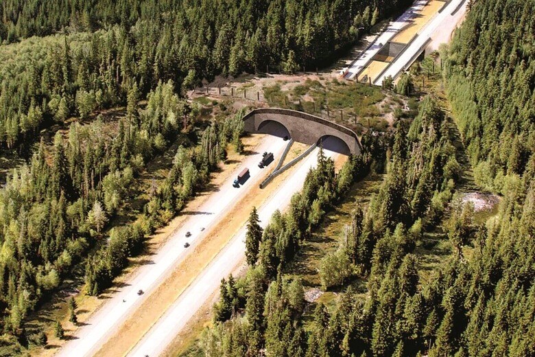 高速道路の上に設置された野生動物通行用の陸橋（ワシントン州）　COURTESY OF WASHINGTON DOT