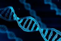 DNAに残された古代のウイルスの痕跡は「ジャンクDNA」ではない......細胞が免疫化されている