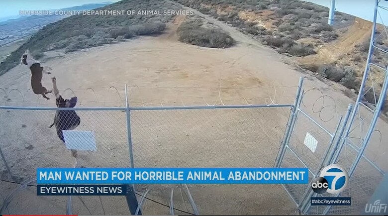 ABC7-YouTube