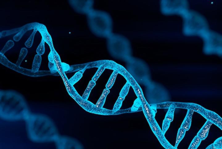 DNAに残された古代のウイルスの痕跡はウイルスへの感染防御に寄与している可能性がある　Shutter2U -iStock