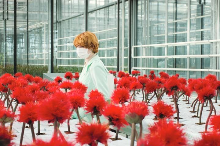 リトル・ジョーを育てるうち、アリス(上)の息子ジョ ー(下)の様子がおかしくなっていく　©COOP99 FILMPRODUKTION GMBH / LITTLE JOE PRODUCTIONS LTD / ESSENTIAL FILMPRODUKTION GMBH / BRITISH BROADCASTING CORPORATION / THE BRITISH FILM INSTITUTE 2019