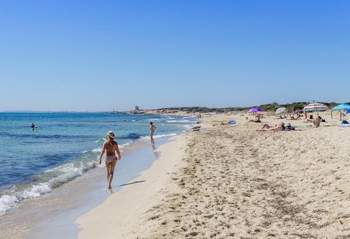 「行為」が貴重な植物にダメージを与える、イビザ島のエス・カバレビーチ　ibiza-spotlight.com