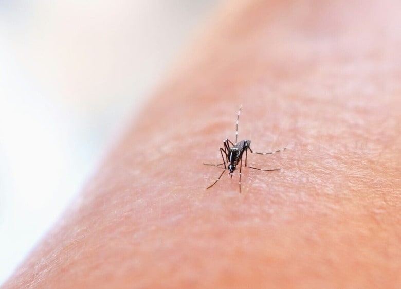 National Institute of Allergy and Infectious Diseases-Unsplash