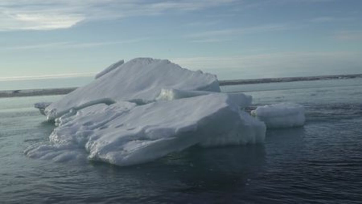 北極海の夏の氷、温暖化進行で2050年までに消失確実=報告書 | ニューズウィーク日本版 オフィシャルサイト