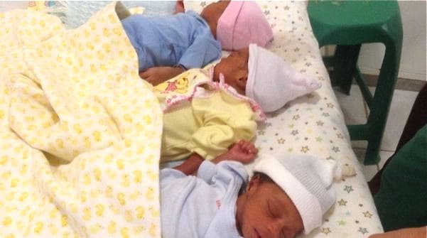 無事に生まれたばかりの三つ子（少し小さめ）が眠る（スマホ撮影）