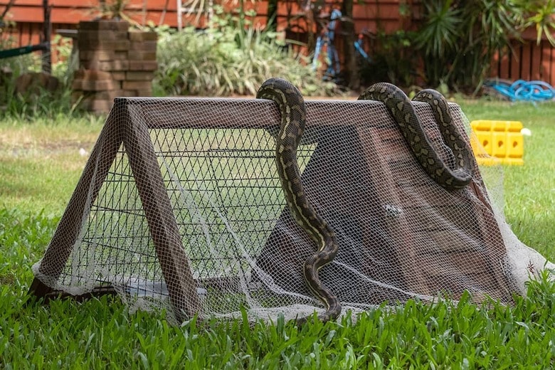 （写真はイメージです）　Janelle Lugge-Shutterstock