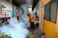 米ＣＤＣ、ジカ熱リスクで東南アジア11カ国への妊婦渡航回避勧告