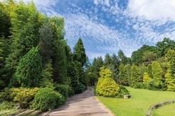 水にはどんな「機能」があるのか？...「水の可能性」研究を続ける赤塚植物園グループの挑戦