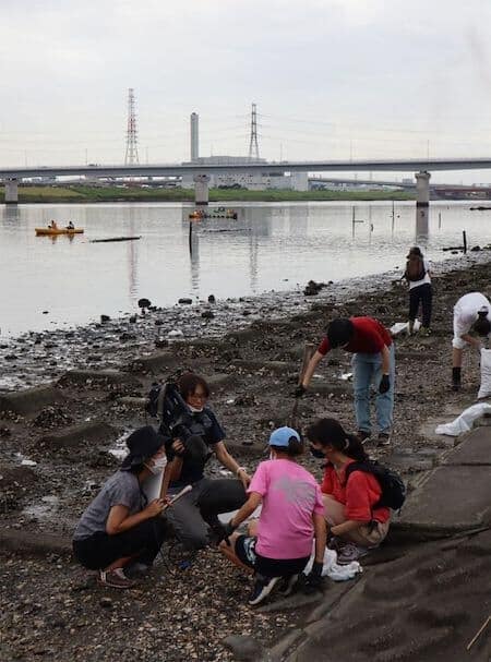 江戸川でカキ殻清掃をする母子を取材するNHK