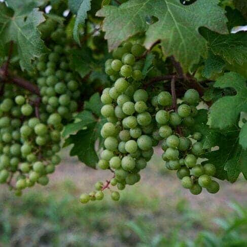 DEFENDER EXPERIENCE NORTH SOUTH TOUR