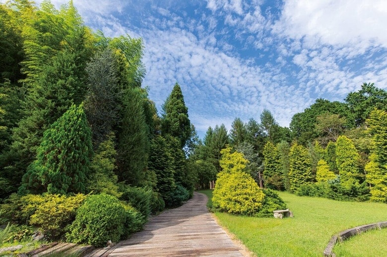赤塚植物園が運営している里山庭園「レッドヒルヒーサーの森」