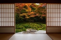 なぜ脳は、日本的「美」に反応する？ 欧米の美とは異なる「共存」と、AIが処理できない「無」