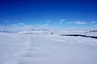 「ウイルスが漏れ出す......」北極が新たなパンデミックの温床となることがあきらかに