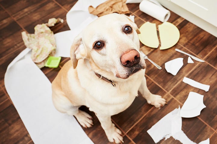（写真はイメージです）　Chalabala-iStock