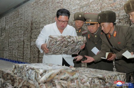 　１１月１９日、北朝鮮の国営メディアは、金正恩朝鮮労働党委員長が国内２カ所の水産物加工場を視察したと報じた。写真は朝鮮中央通信（ＫＣＮＡ）が公開、撮影日不明（２０１９年　ＫＣＮＡ）