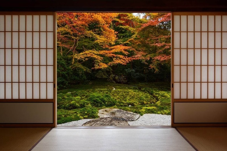 David Carillet／Shutterstock