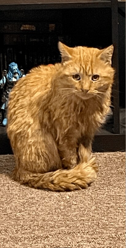 スクリーンショット (53).png