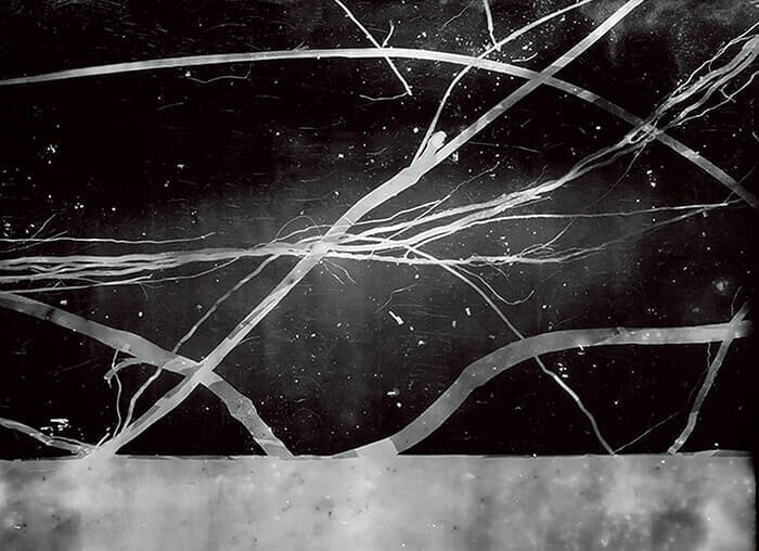 ロベルト・ワルカヤ(Roberto Huarcaya)<br>
<シリーズタイトル> 『アマゾグラマス』<br>
(Amazogramas)<br>
<作品タイトル>アマゾグラマ #1(ディテール)(2014年)<br>
▶アマゾン川水系の川床に横たわるヤシの木を、4度の稲妻の閃光で感光紙に焼き付けた。大自然と人間の共創が生んだ作品<br>
Credit: Courtesy Roberto Huarcaya abd Rolf Art, Buenos Aires