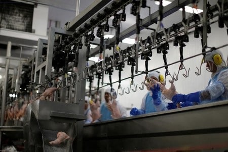 　３月２１日、ブラジルの食肉加工業者が傷んだ肉を出荷するなどしていた問題で、ブラジルの日本大使館は、２１の食肉加工工場で生産された鶏肉などの製品の輸入手続きを無期限に停止したと発表した。ブラジル国内の食肉工場（２０１７年　ロイター／Ueslei Marcelino）