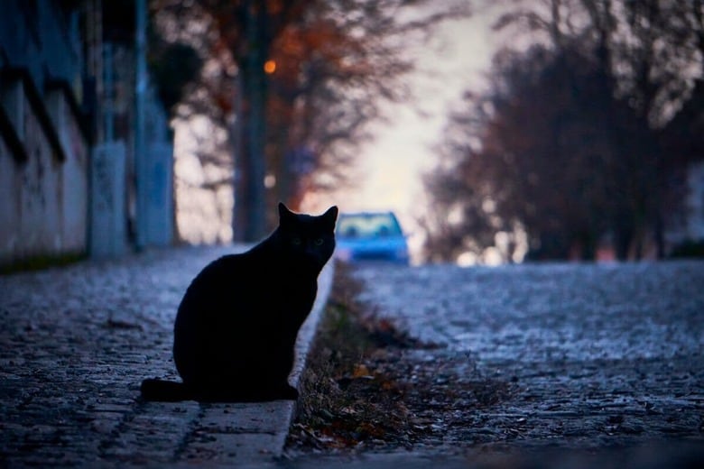 夜の公園で...（写真はイメージです）Maria Lammert-Unsplash