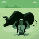 生産性を極めたオランダ農業がお荷物となる日々