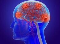 アルツハイマー病の原因とみられる「アミロイドβ」の血液から脳への経路が明らかとなる