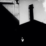 「何を撮るかでさえ重要ではない」と、豪州の強烈な陽光の下で