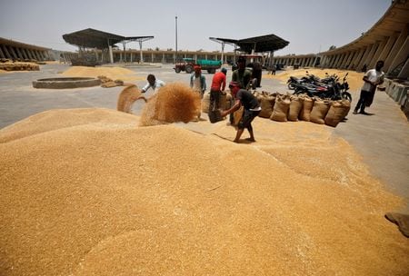 インドが国内の価格高騰を抑える狙いで小麦輸出の停止を１４日に決定したことを受け、アジアの小麦輸入業者は代替品の確保に奔走していると、貿易筋が明かした。写真は２０２２年５月、インドのアーメダバードで撮影（２０２２年　ロイター/Amit Dave）