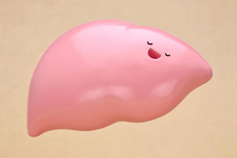 肝臓にとっての休肝日はアルコールを飲まない日のことではない!?