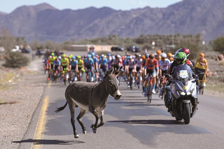 ALEX BROADWAY/GETTY IMAGES