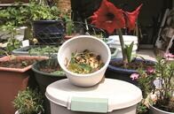 アメリカで浸透しつつある日本の「ボカシ」は、バイデン政策の切り札になれる