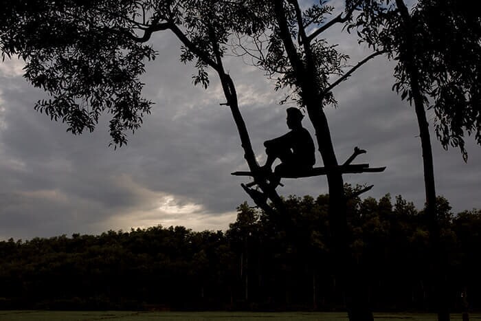 ゾウから水田を守るため、木の上の見張り台で夜の見張りをする村人(23年10月)