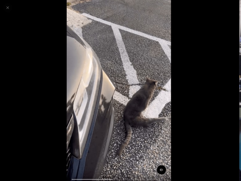 スクリーンショット 1.png