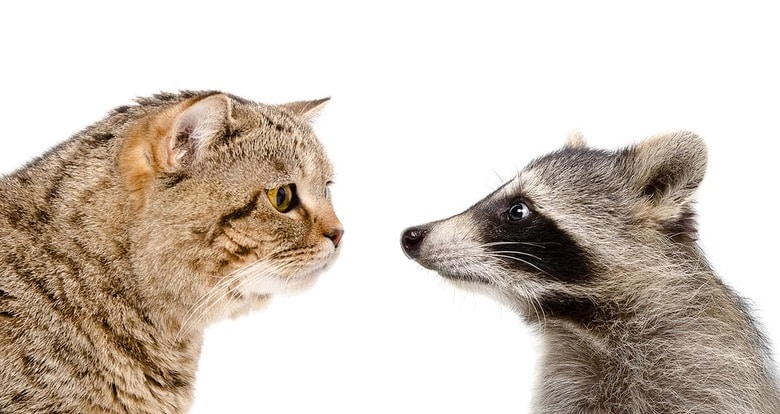 （写真はイメージです）　Sonsedska-iStock