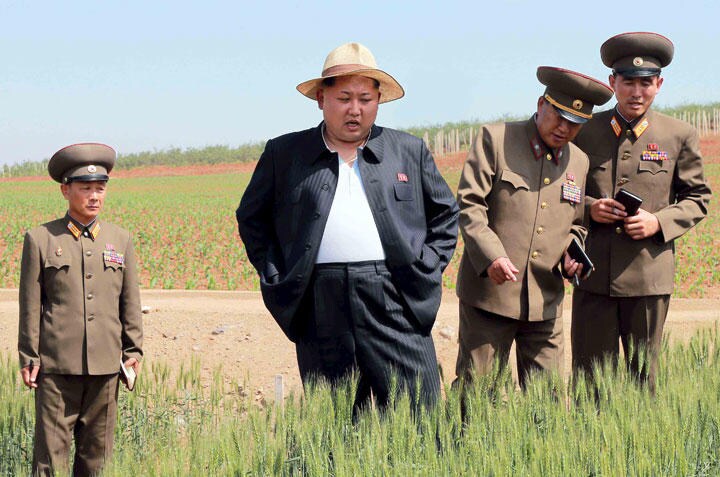 朝鮮人民軍810部隊傘下の農場を視察する金正恩（2015年6月1日付労働新聞より）　KCNA-REUTERS