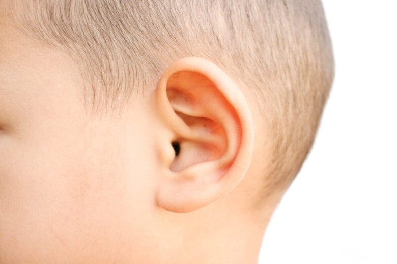 isara studio／Shutterstock