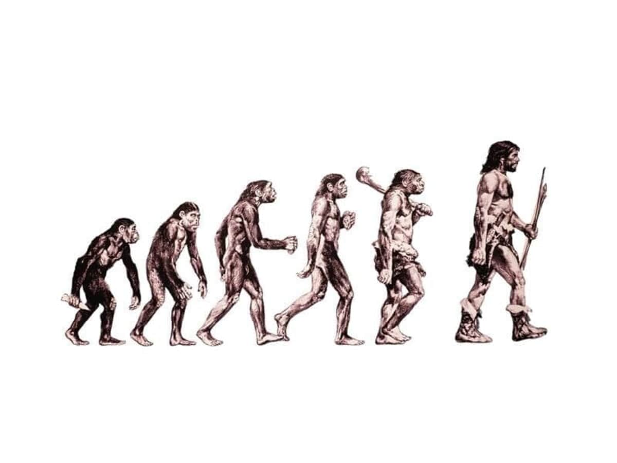 週刊　世界人類百科　第1号〜33号 人類の起源」の定説が覆る大発見100万年前の頭蓋骨から何が分かった
