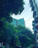 引き続きミャンマーに留まるにあたって